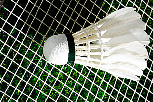 足球的历史 足球的历史