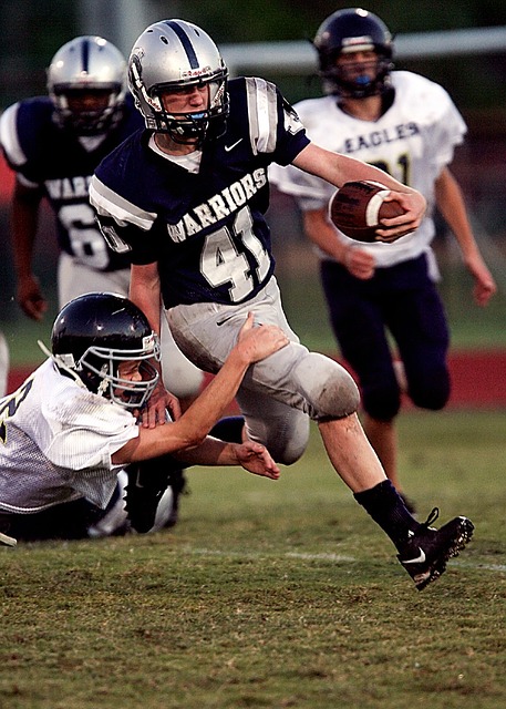 追求自己的 追求自己的