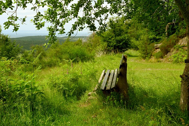 个人职业生 个人职业生