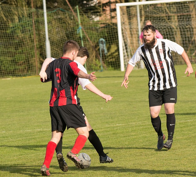 不仅如此 不仅如此