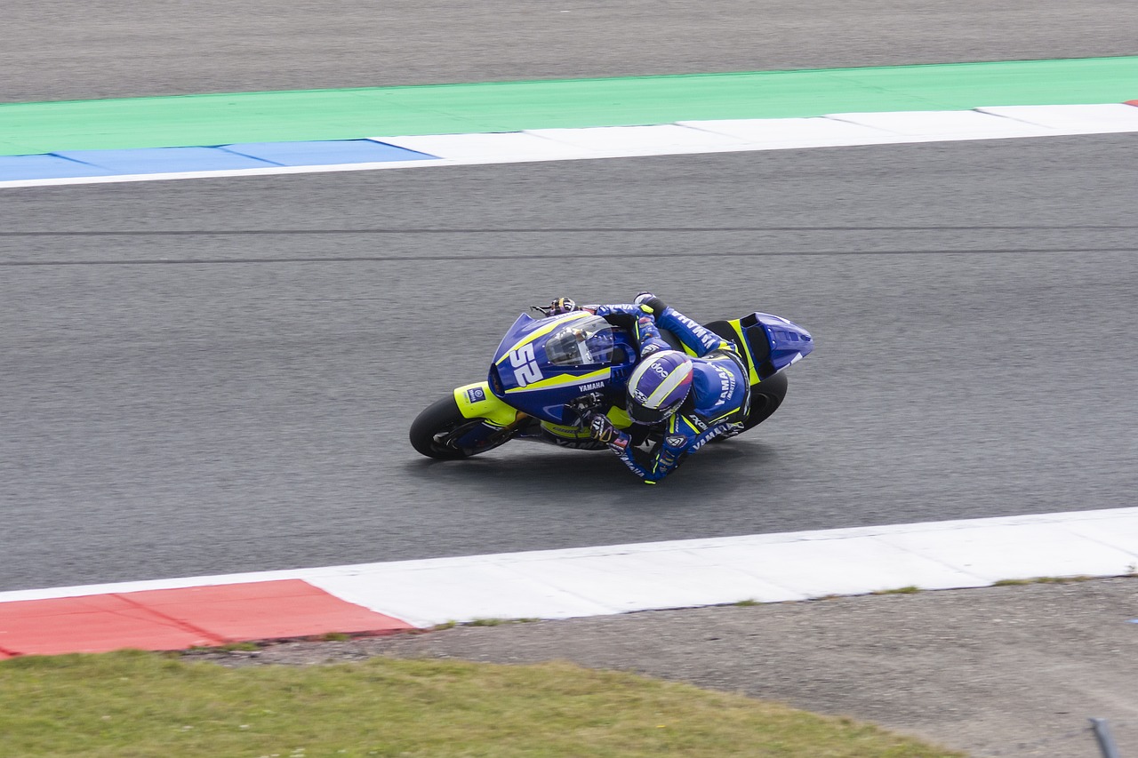 游泳选手打 游泳选手打