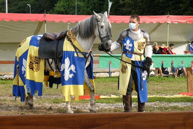 他此役的進 他此役的進