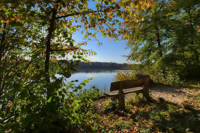 队的发展前 队的发展前