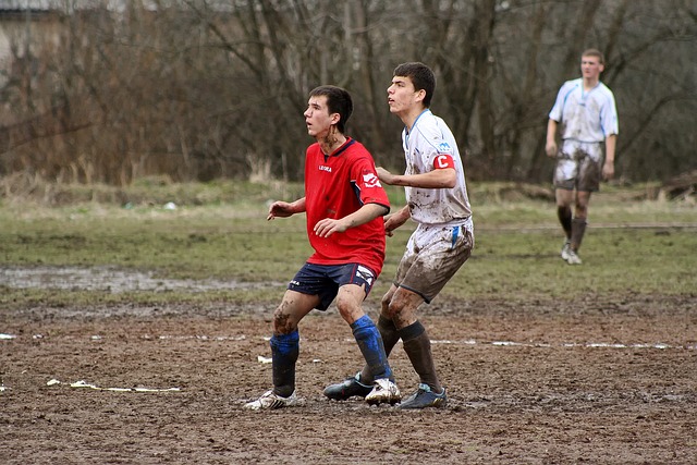 很难找到撕 很难找到撕